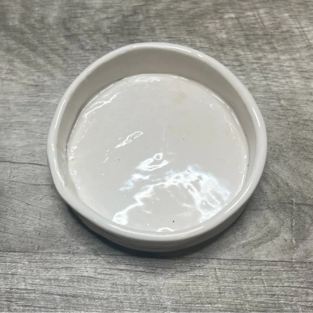 Handmade Circular Ceramic Reptile Dish